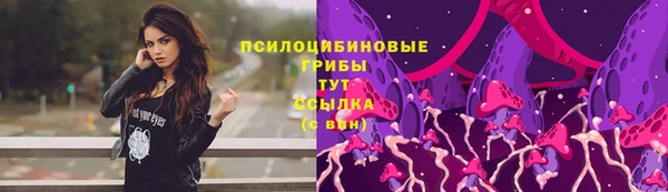 spice Краснослободск