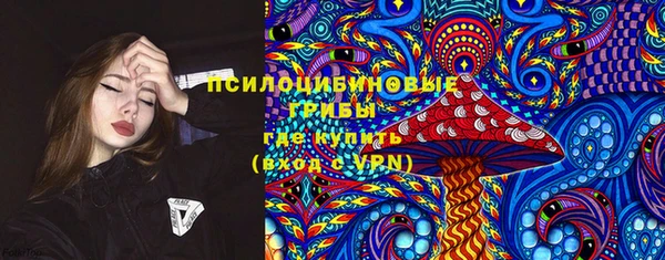 мдпв Коряжма