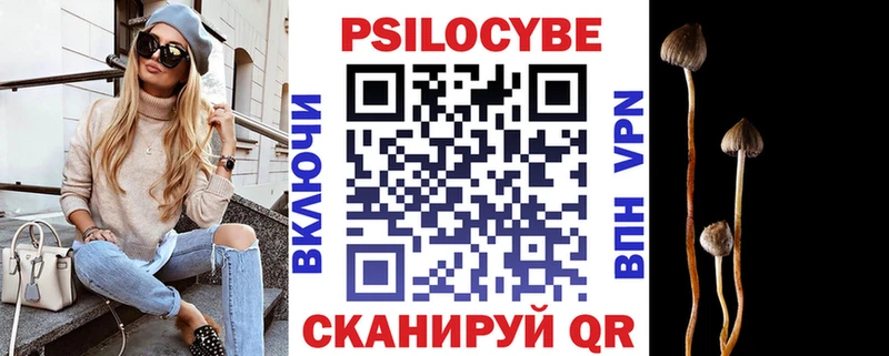 Псилоцибиновые грибы Psilocybe  Купить где  Бологое 